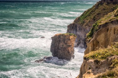 Yeni Zelanda kıyılarında