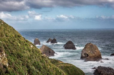 Yeni Zelanda kıyılarında