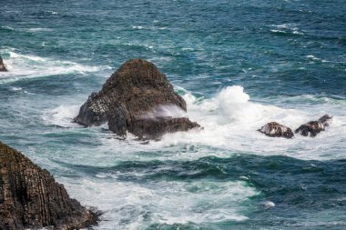 Yeni Zelanda kıyılarında