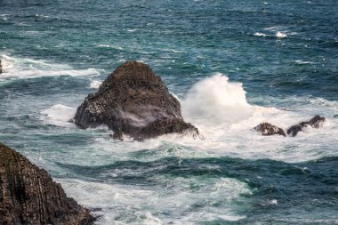 Yeni Zelanda kıyılarında