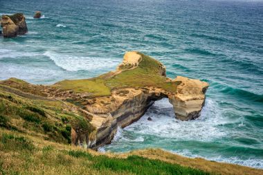 New Zealand coast clipart