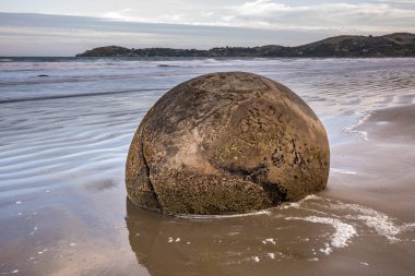 Yeni Zelanda kıyılarında