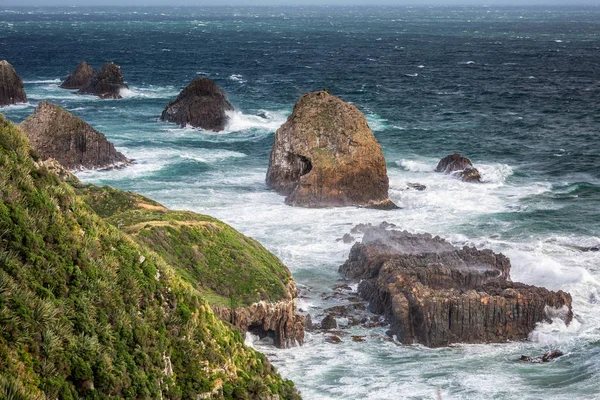 Neuseelands Küste — Stockfoto