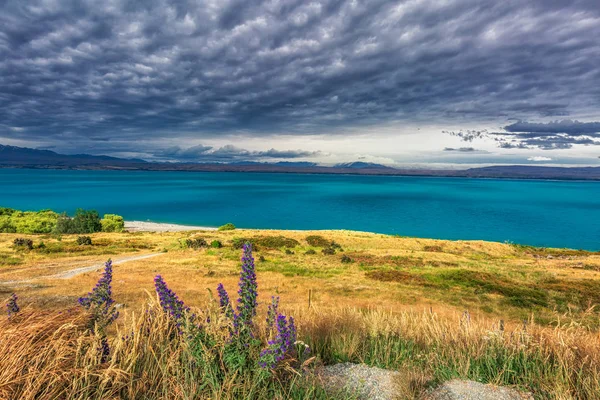 Nueva Zelanda vista — Foto de Stock