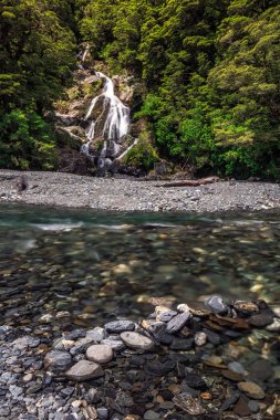 Yeni Zelanda görünümü