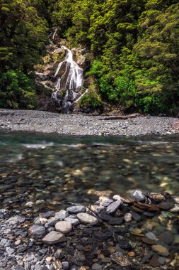 Yeni Zelanda görünümü