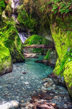 Yeni Zelanda görünümü