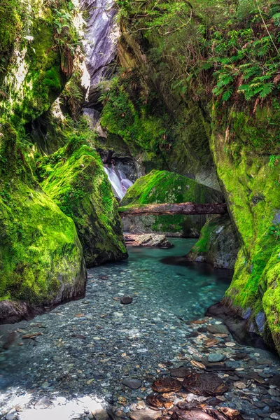 Nueva Zelanda vista — Foto de Stock