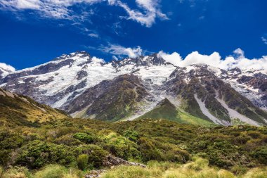 Yeni Zelanda görünümü
