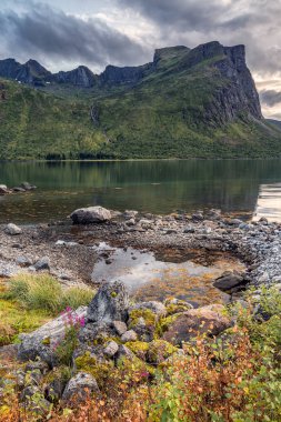 Norveç inanılmaz doğa