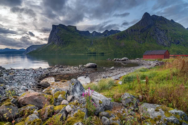 ノルウェーの素晴らしい自然 — ストック写真