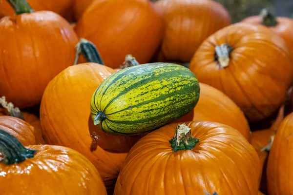 Decorazione zucca di Halloween — Foto Stock