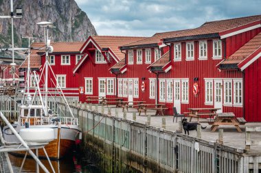 Norveç inanılmaz doğa