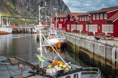 Norveç inanılmaz doğa