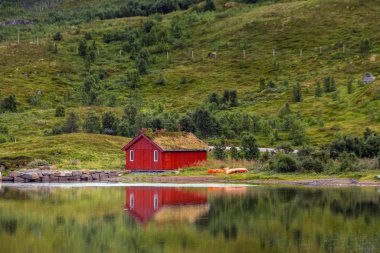 Norveç inanılmaz doğa