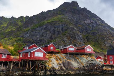 Norveç inanılmaz doğa