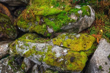 Norveç inanılmaz doğa