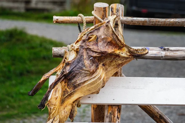 Noorwegen verbazingwekkende natuur — Stockfoto