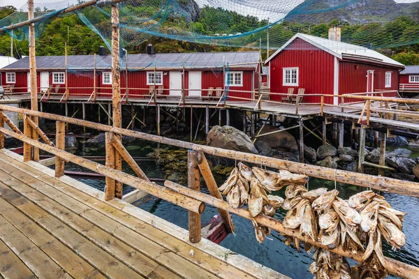 Norway amazing nature — Stock Photo, Image
