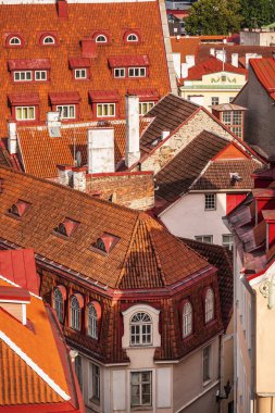 Tallinn popüler eğlenceleri