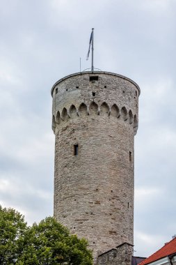 Tallinn popüler eğlenceleri