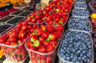 Tallinn popüler eğlenceleri