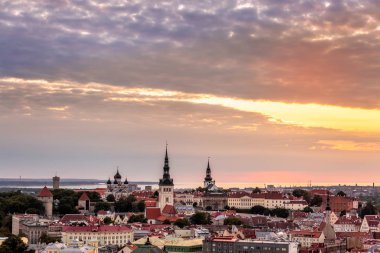 Tallinn popüler eğlenceleri