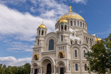 Saint Petersburg ana gösterileri