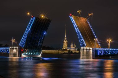 Saint Petersburg ana gösterileri