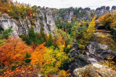 Avrupa Doğa Çekimleri