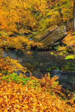 Avrupa Doğa Çekimleri