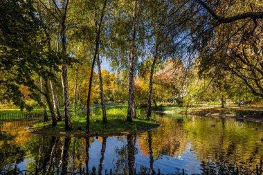 Polonya 'nın başlıca eğlenceleri