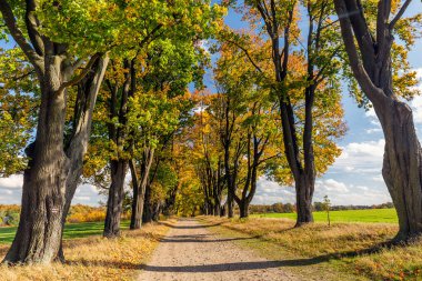 Polonya 'nın başlıca eğlenceleri