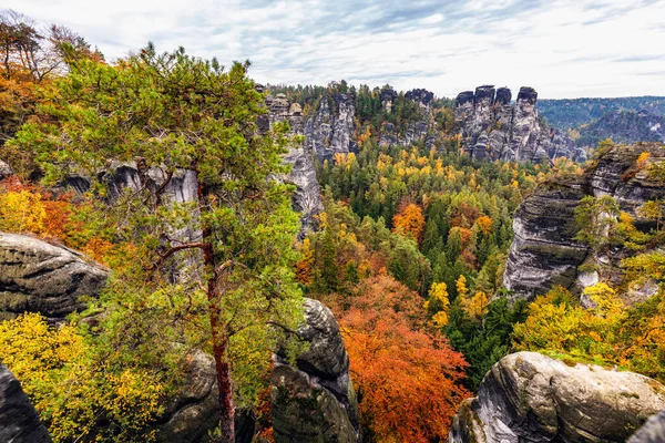 Avrupa Doğa Çekimleri