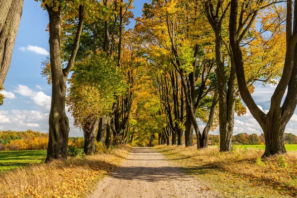 Polonya 'nın başlıca eğlenceleri