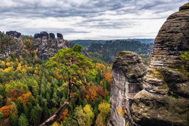 Avrupa Doğa Çekimleri
