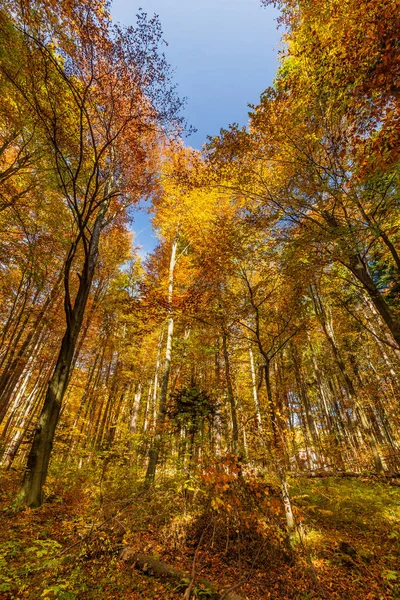 Principales atracciones de Polonia — Foto de Stock