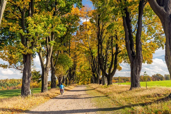 Lengyelország főbb látnivalói — Stock Fotó