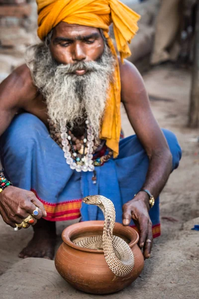 Snake sadhu印度 — 图库照片