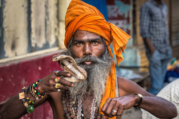 Snake sadhu India