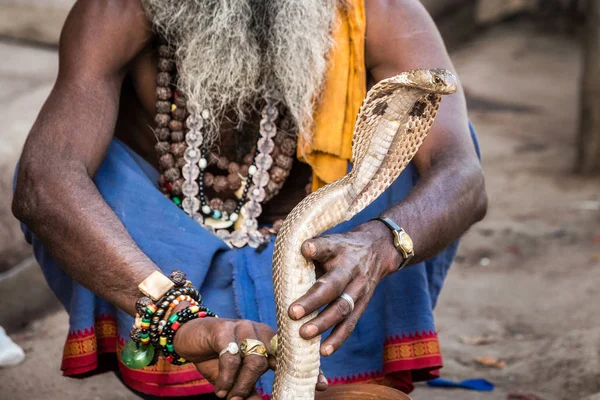 Snake sadhu Índia — Fotografia de Stock