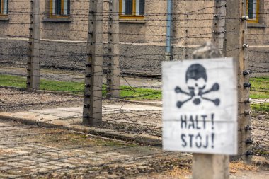 Auschwitz toplama kampı