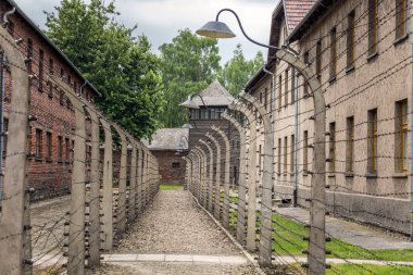 Auschwitz toplama kampı