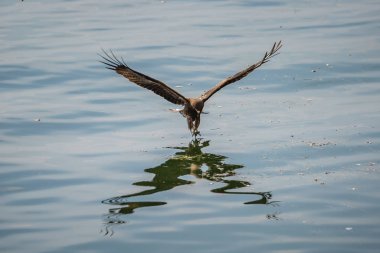 Hindistan gezisi başyazısı