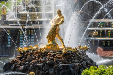 Saint Petersburg ana gösterileri