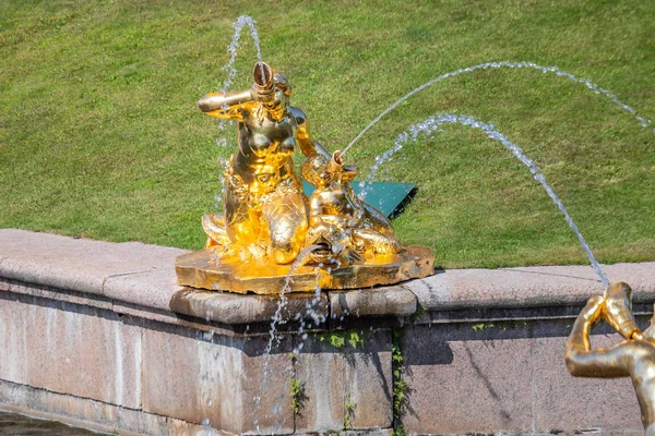 Saint Petersburg ana gösterileri — Stok fotoğraf