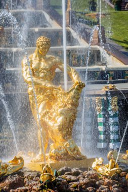 Saint Petersburg ana gösterileri