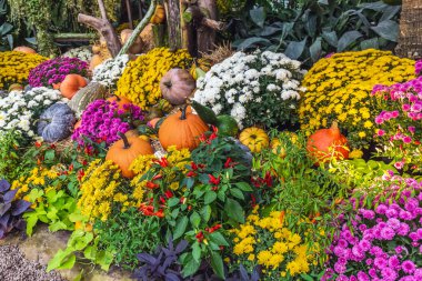Avrupa 'nın başkentleri