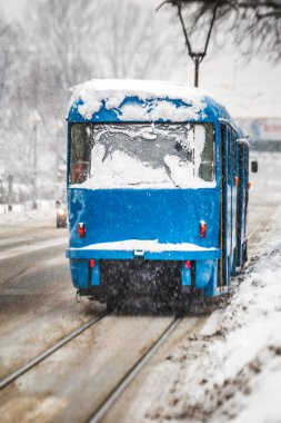 Zagreb kenti ilgi odağı