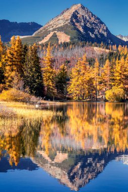 Strbske lake Slovakia